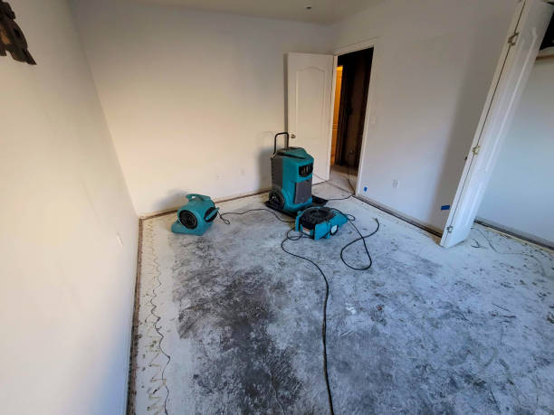 Best Mold removal after water damage  in Yoakum, TX