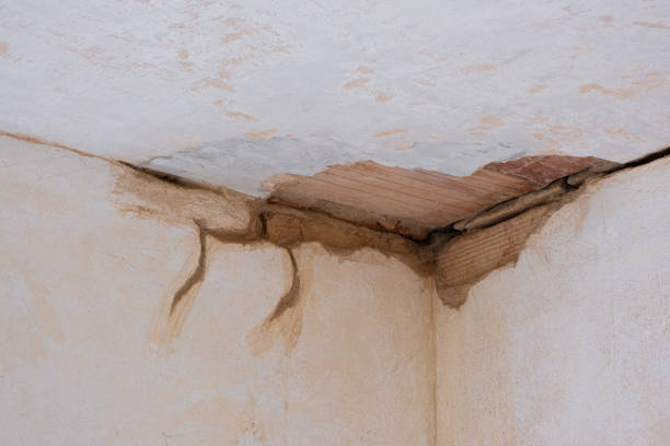 Best Professional water damage repair  in Yoakum, TX