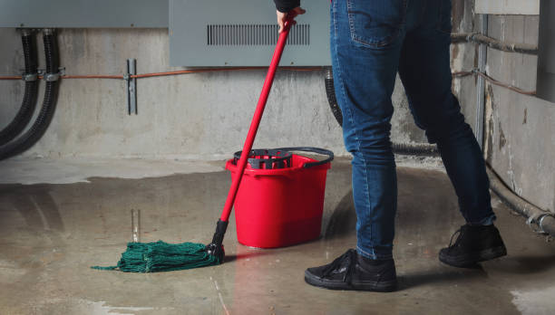 Best Water damage contractors near me  in Yoakum, TX