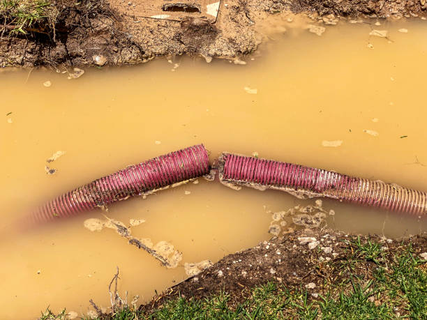 Best Water damage cleanup near me  in Yoakum, TX